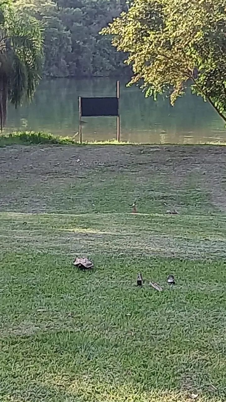 Casa de condomínio para venda possui 3000 metros quadrados - Foto 5