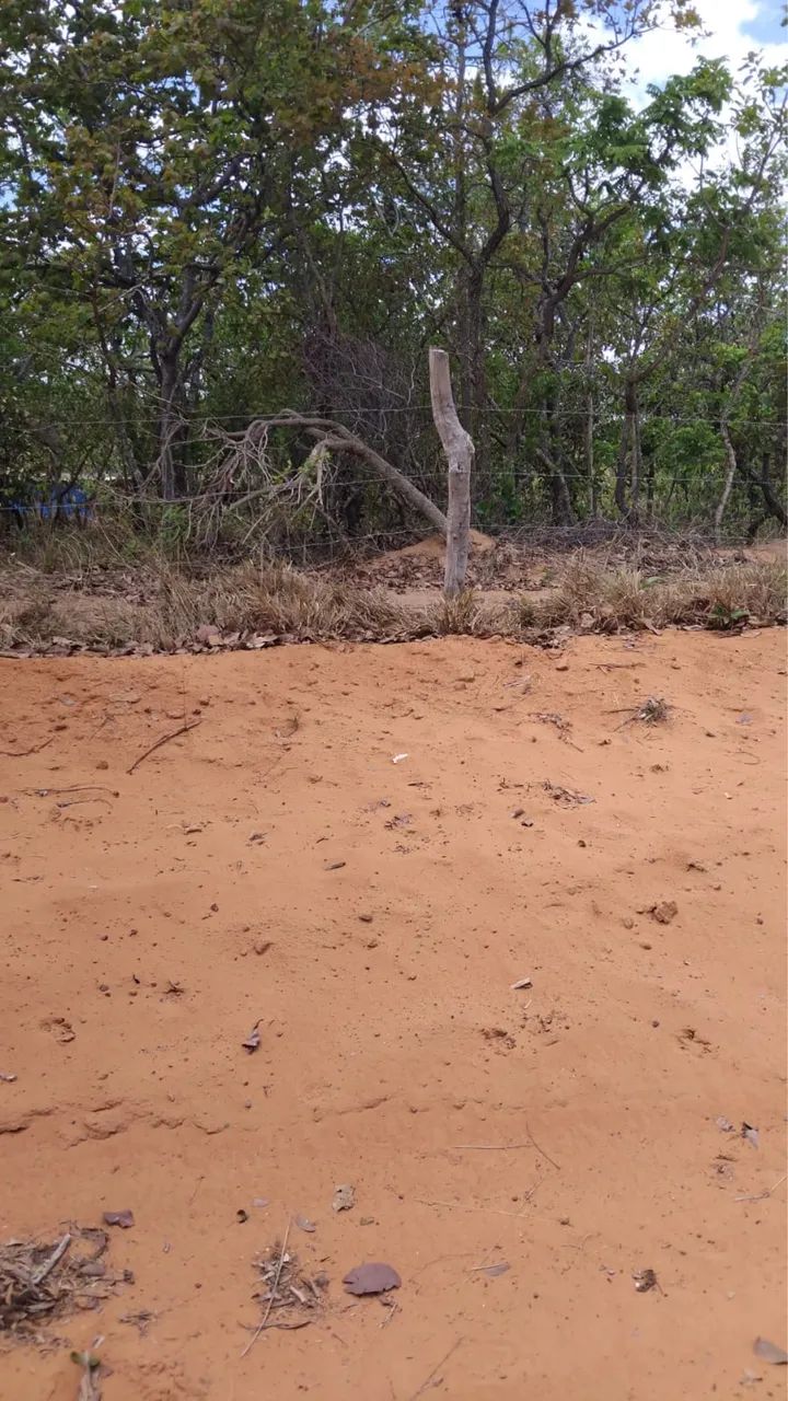 Terreno de 5.000 metros  - Foto 2
