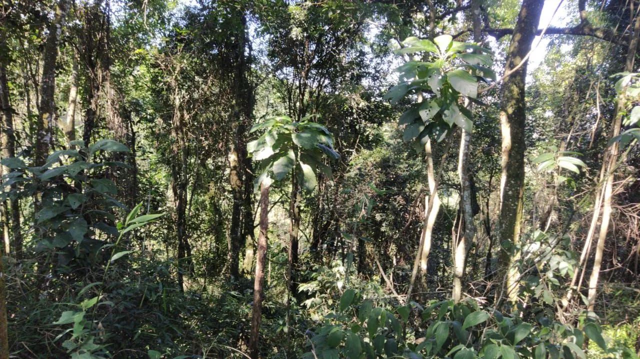 Vendo terrenos em Araçariguama  - Foto 4