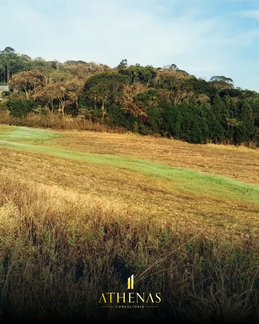 Poucos Lotes: Caucaia do Alto - Foto 2