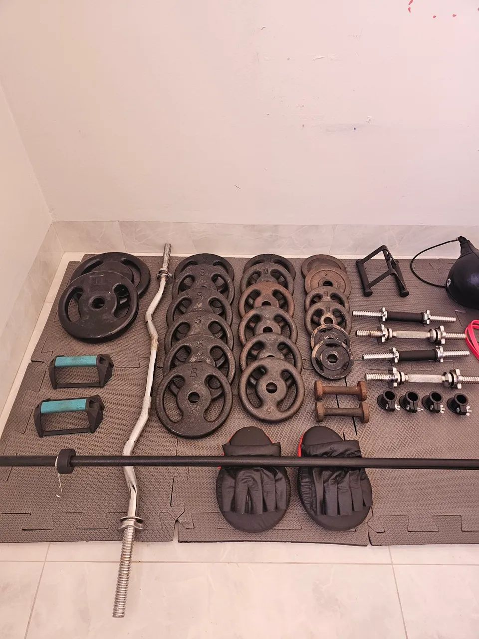 Anilhas para musculação