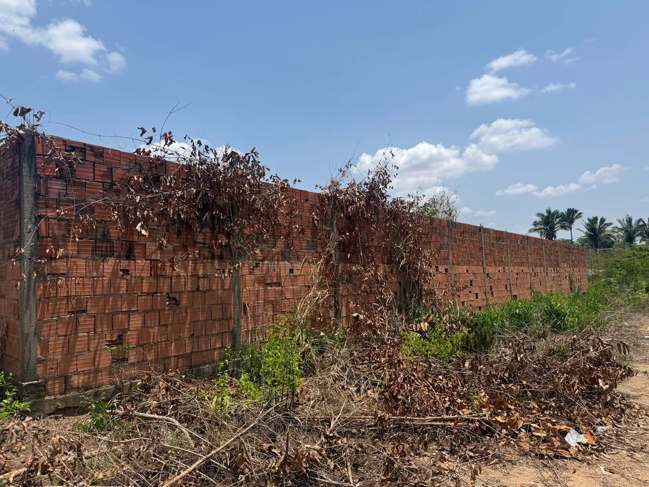 TERRENO EM SÃO MIGUEL-TOCANTINS - Foto 4