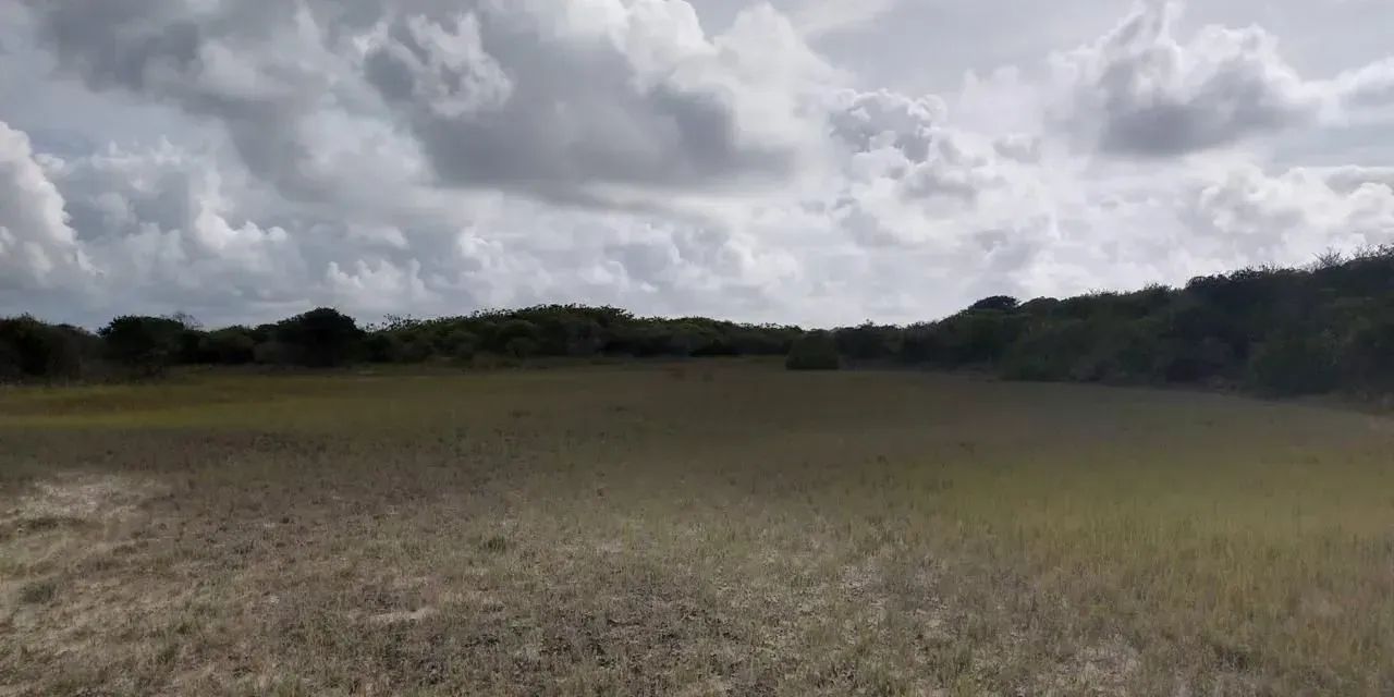 PRIMEIRA CRUZ-MA: Duas ilhas à venda com 360 hectares no Litoral Maranhense - Foto 5
