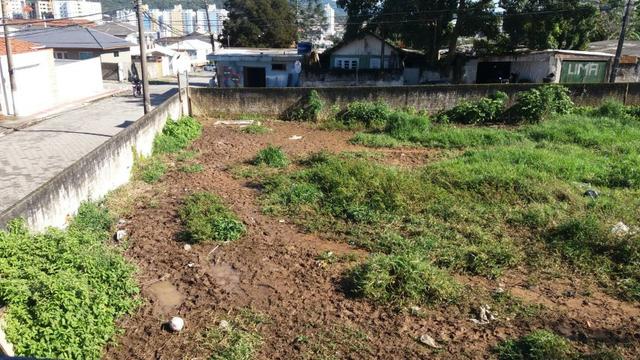 Lindo Terreno no Bairro Ipiranga - Foto 3