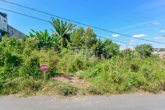 Terreno à venda em Gralha azul, Fazenda rio grande cod:151562 - Foto 17