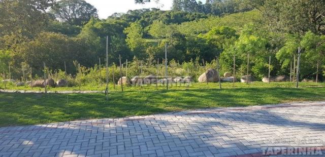 Terreno à venda em Tomazetti, Santa maria cod:10806 - Foto 9