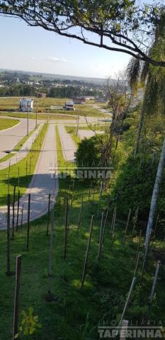 Terreno à venda em Tomazetti, Santa maria cod:10806 - Foto 17