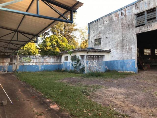 Imóvel comercial a venda no espigão - Foto 8
