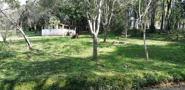 Vendo ou Troco Chácara em Contenda - 3.600 m2 - Foto 14