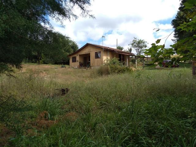 REF 2456 -Chácara Excelente na Serrinha, com 10.000 m², com uma casa - Foto 7