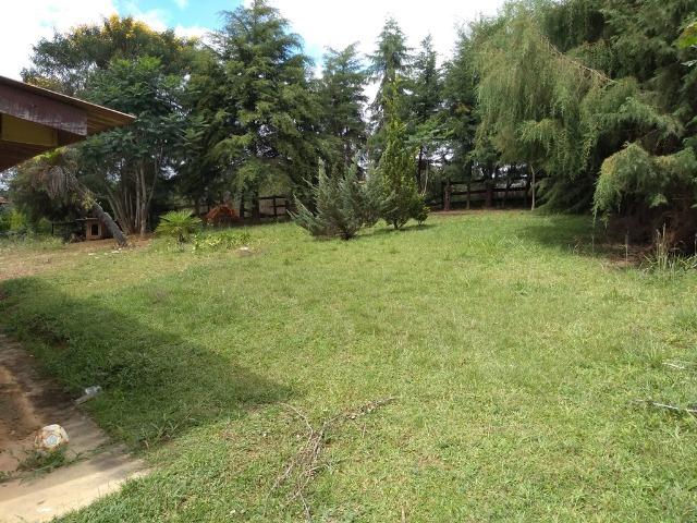 REF 2456 -Chácara Excelente na Serrinha, com 10.000 m², com uma casa - Foto 4