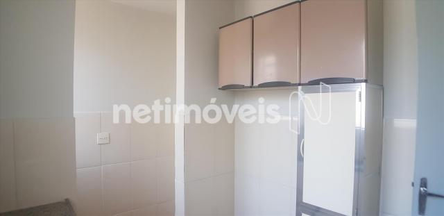 Apartamento para alugar com 3 dormitórios em Caiçaras, Belo horizonte cod:774626 - Foto 9