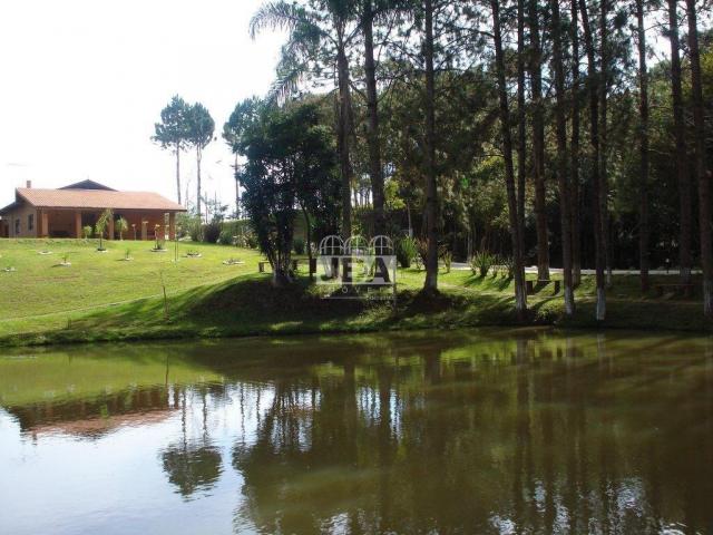 Chácara à venda em Miringuava, São josé dos pinhais cod:12972.001 - Foto 7