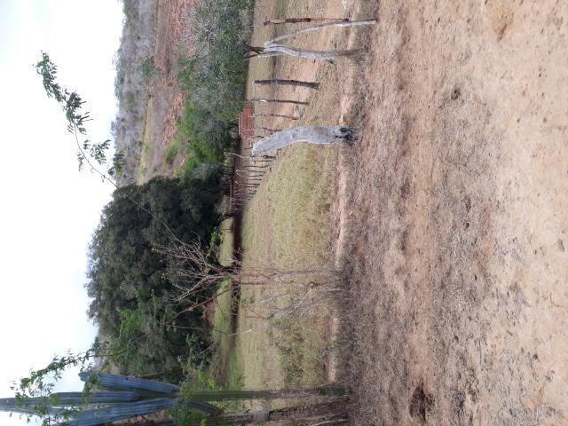Fazenda de 160 hequitares - Foto 7