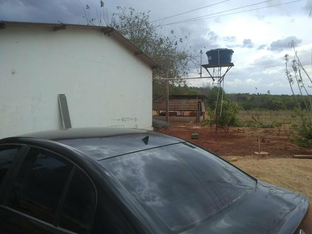 Fazenda Curral do fogo 23 hectares - Foto 5