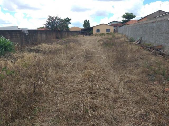 Rua 07 lote comercial, residencial - Foto 7
