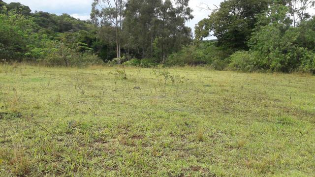 Saquarema - Terreno Madressilva - Rio Seco - 10.139m2 Próximo Km 64 Amaral Peixoto - Foto 11