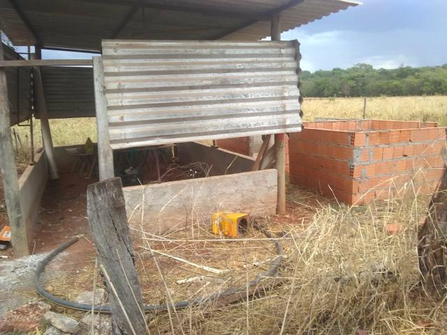 Fazenda Curral do fogo 23 hectares - Foto 4