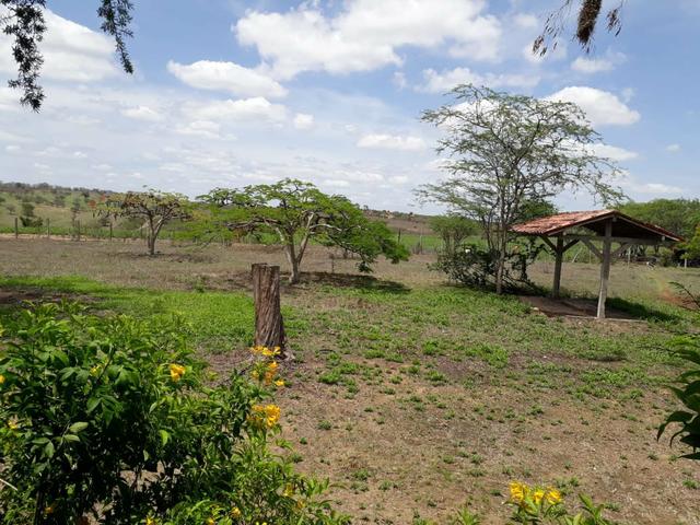 Sítio em Chã Grande, com 10 hectares. Casa sede c/4 qts, sendo 3 suítes, - Foto 20
