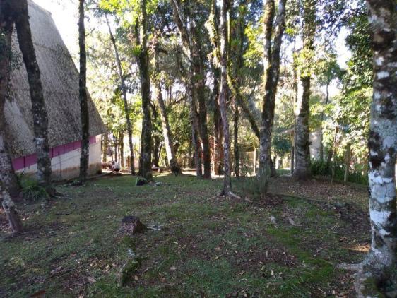 Terreno amplo com duas frentes - Foto 5