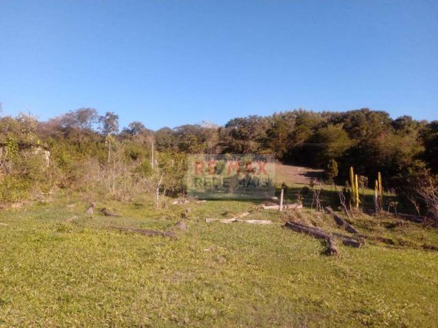 Área à venda, 48400 m² por R$ 120.000,00 - Bofete - Bofete/SP - Foto 6