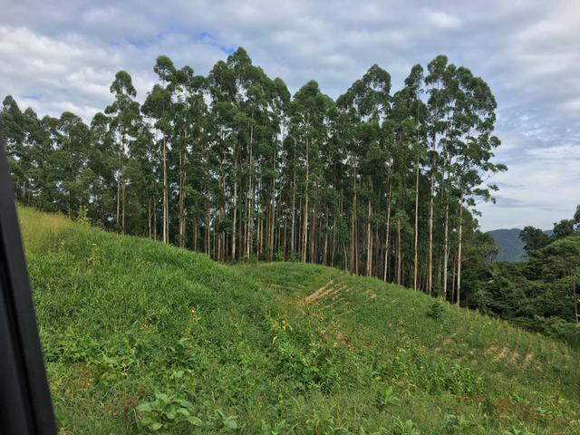 Lindo TERRENO para sítio - Foto 5