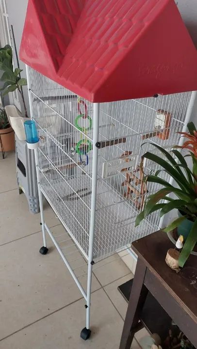 Viveiro Telhadinho com base e rodinhas muito novo - Foto 2