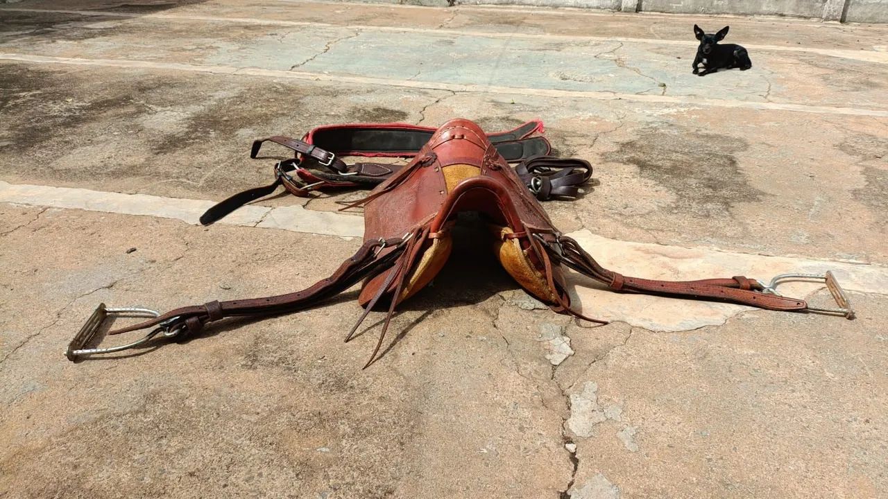 Cutiano (leia) - Foto 4