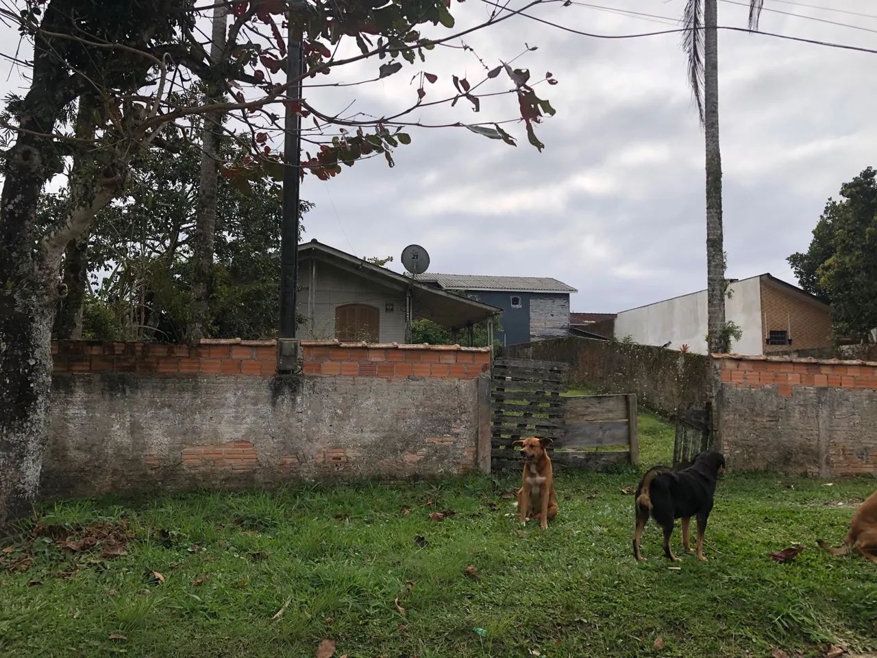 foto - São José dos Pinhais - Santo Antônio