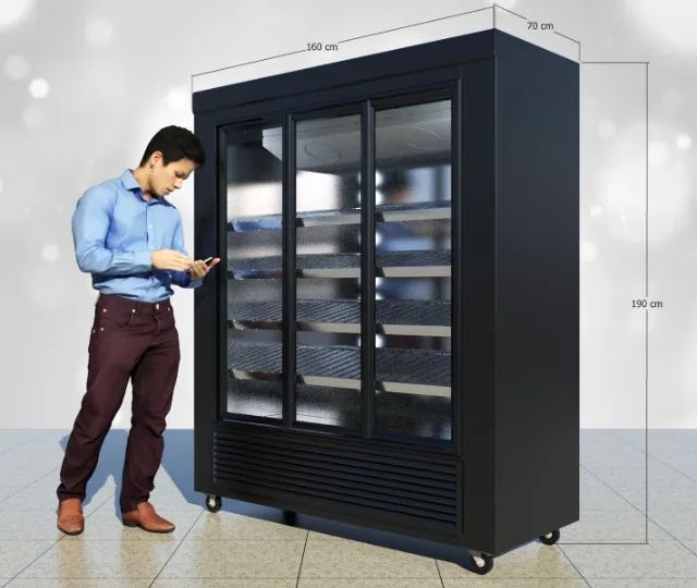 Geladeira Auto Serviço - Foto 2