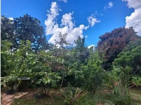 Negociando  - Foto 7