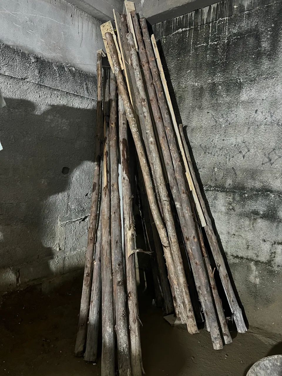 Escoras64243393642882120