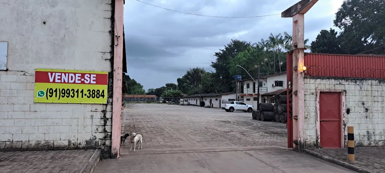 Galpão para Vender ou Alugar - Foto 12