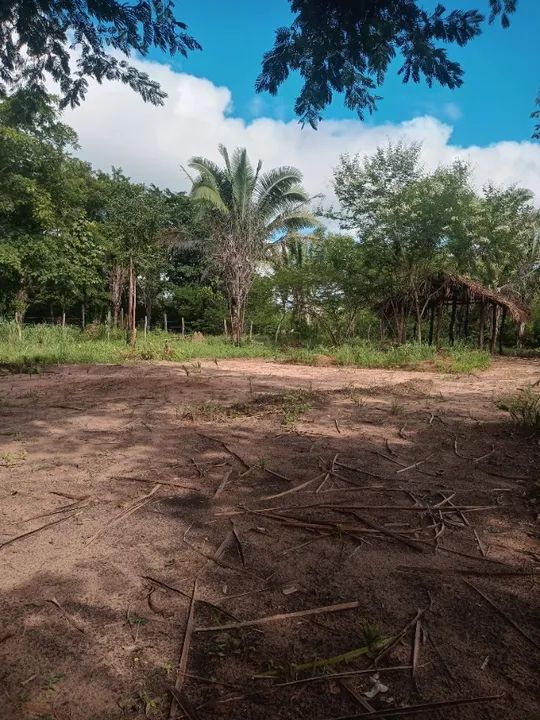Vendo terreno em Timon - Foto 4