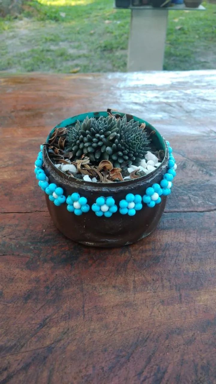 Plants63825060915457123