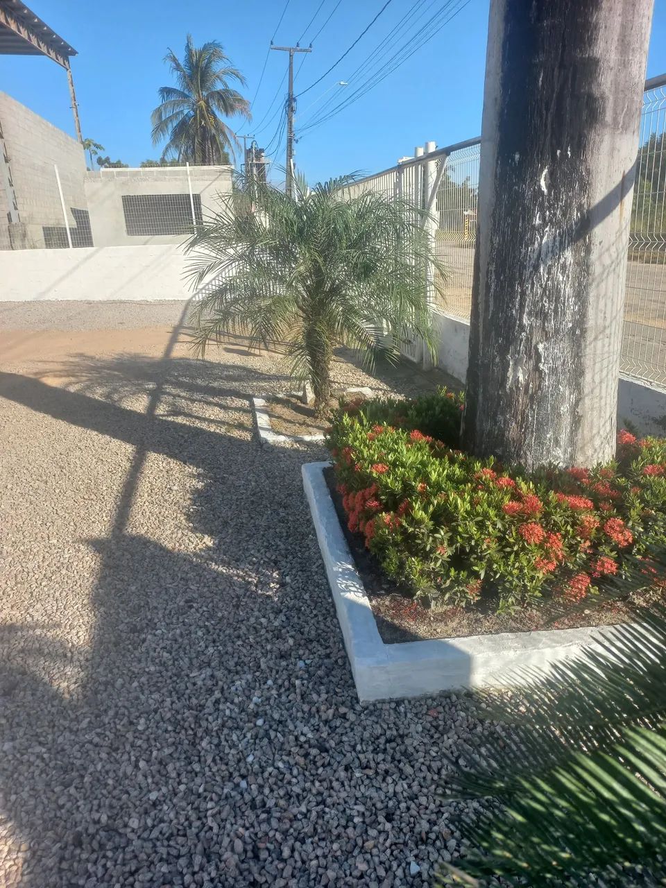 Manutenção de jardim - Foto 2