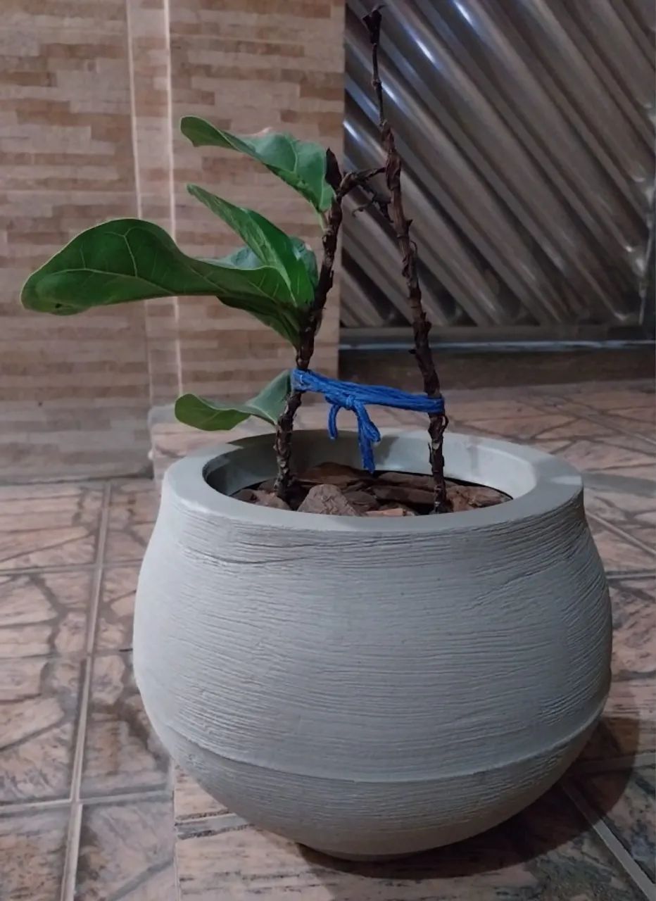 Vaso de Planta + Terra + Cascalho Artesanal