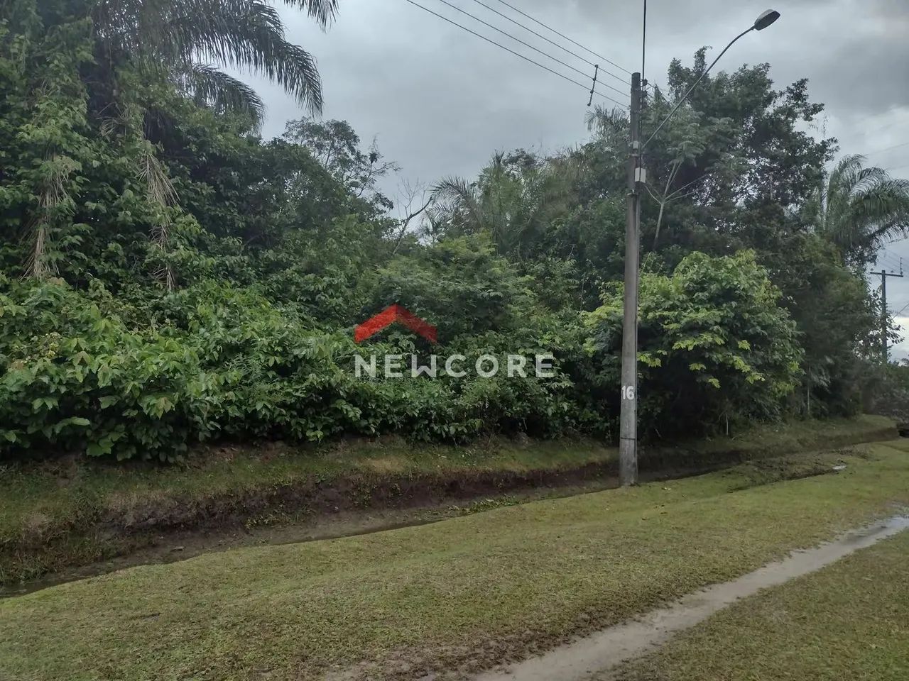 Lote em Condomínio São Luiz - São Luiz - Peruíbe/SP - Foto 6