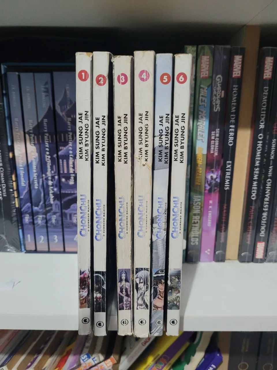 Mangas diversos - Foto 2