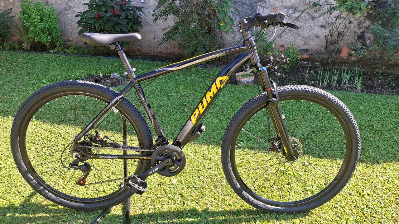 Bicicleta Aro 29