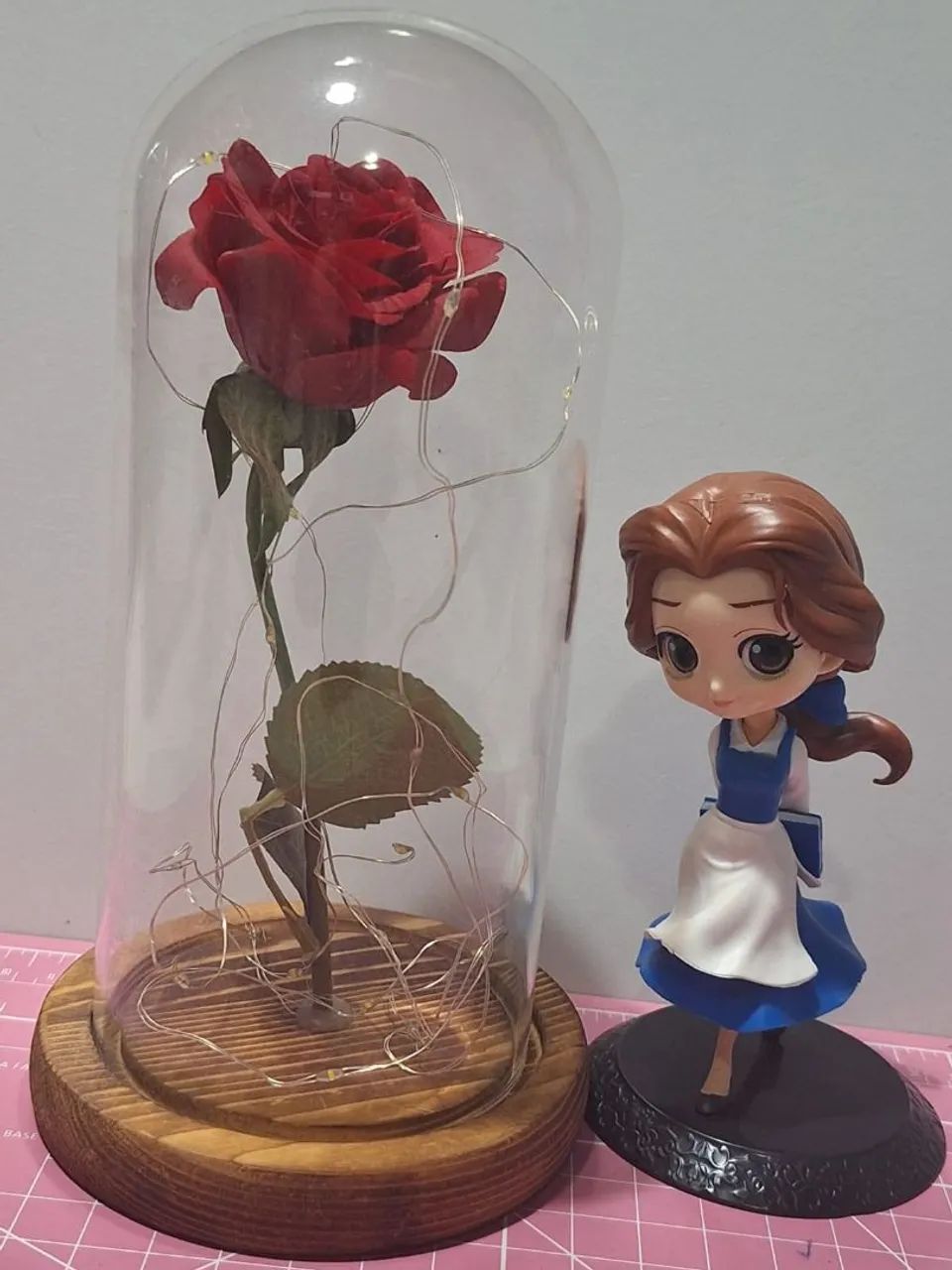 Bela e Rosa Encantada  - Foto 4