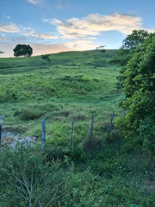 Vendo sitio em Alagoinhas
