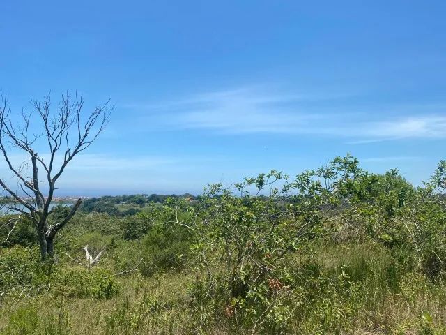 Foto - São Gonçalo - Camarão