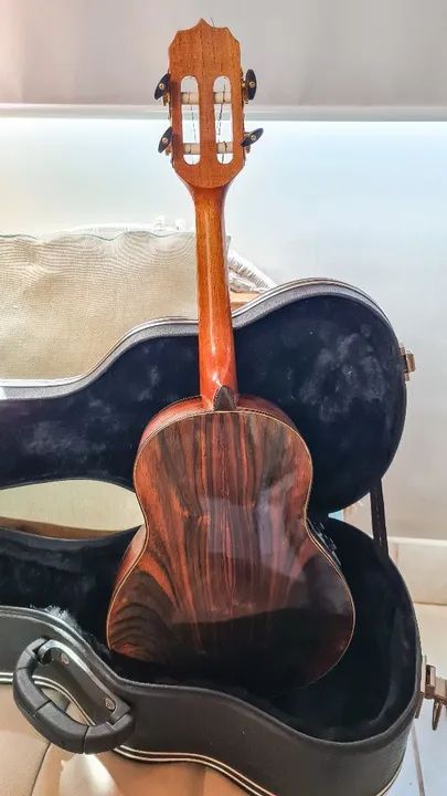 Cavaco Rozini (Profissional) - Foto 4