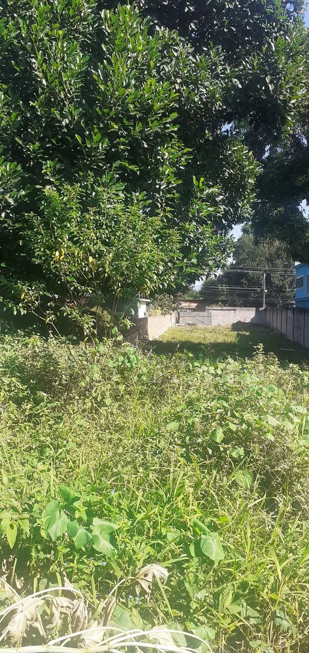 Terreno com 700 M2 na estrada do curtume  - Foto 6