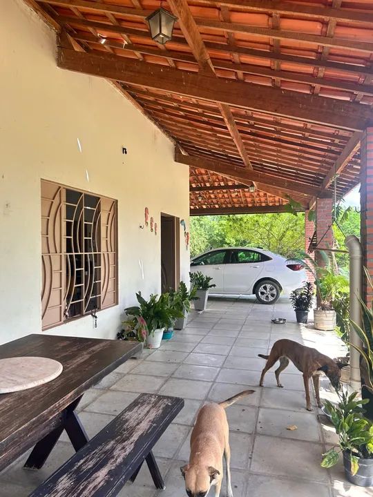 Chácara com piscina e área verde - Foto 4