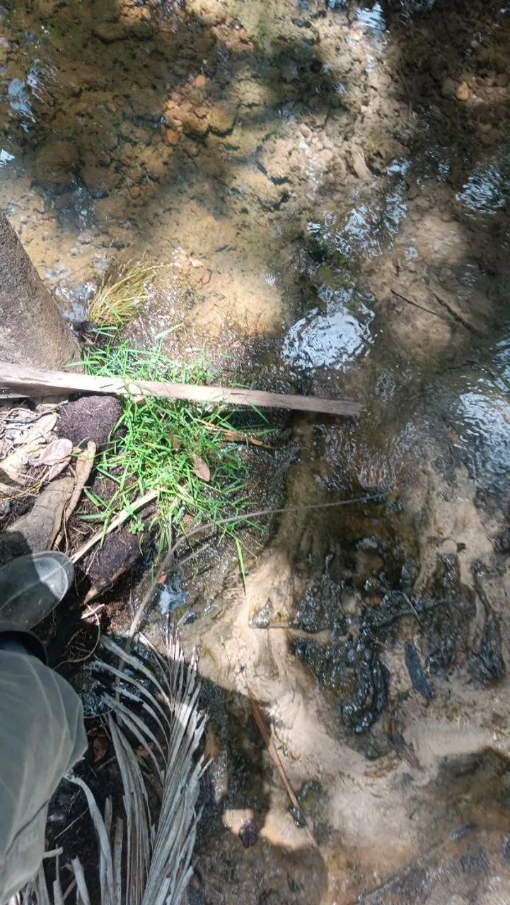 Vendo um terreno para sítio com olho d'água  - Foto 5