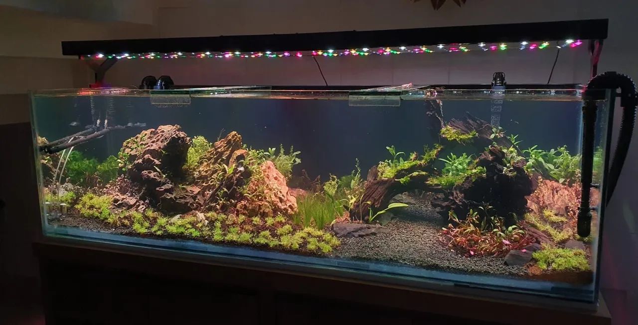 Aquario + Filtros + Luminárias. 80% de desconto! - Foto 4