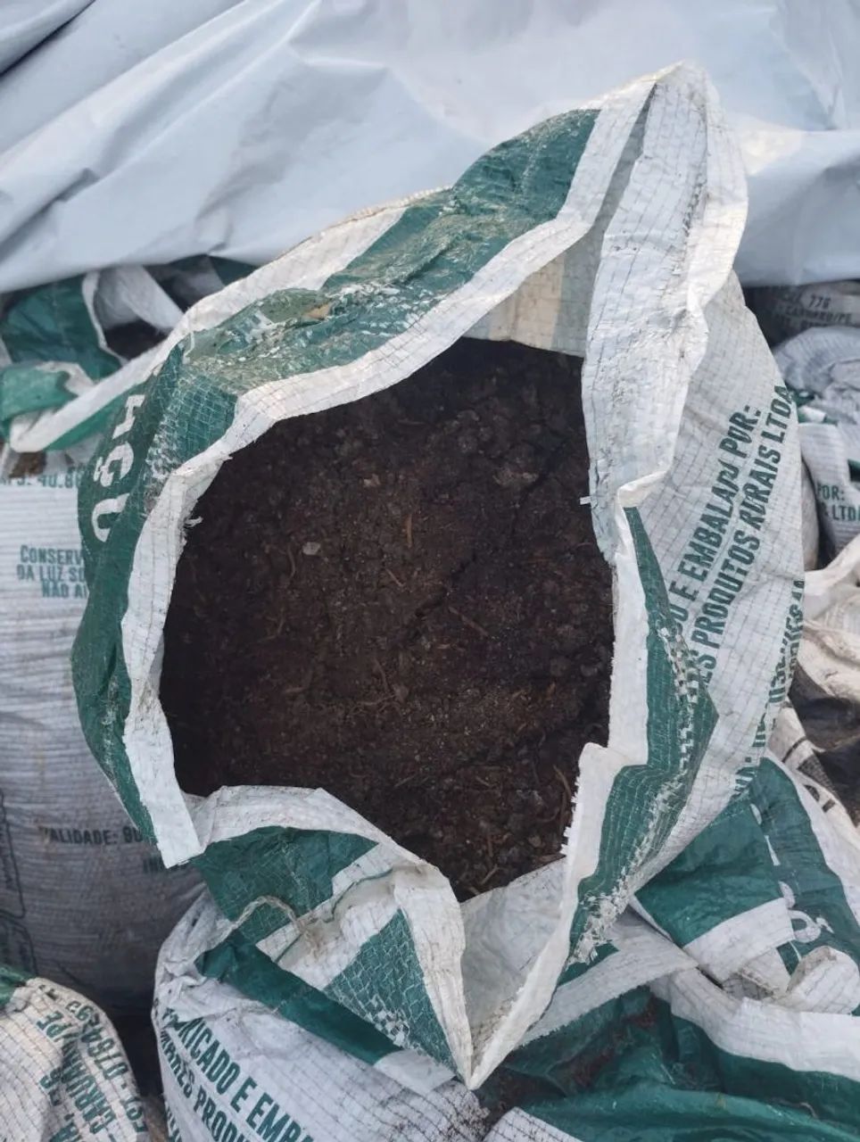 Adubo de codornas e galinha  - Foto 2