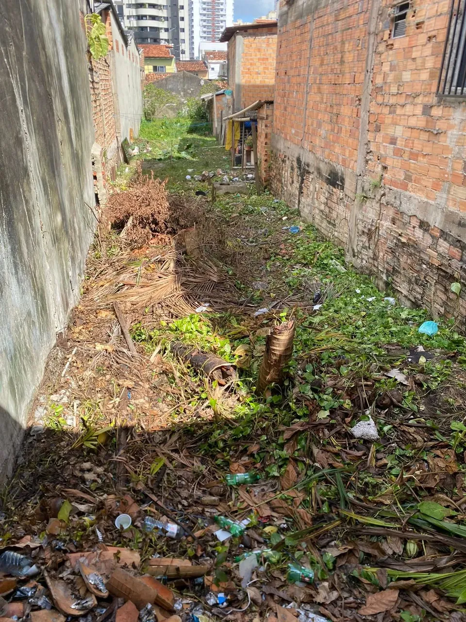 Imóvel para venda tem 269 metros quadrados em Cremação - Belém - PA